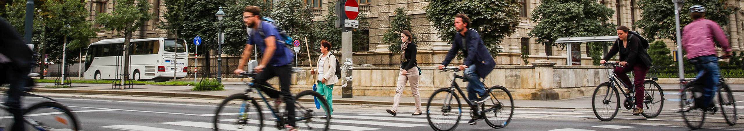 Reger Radvekehr am Wiener Ringradweg.