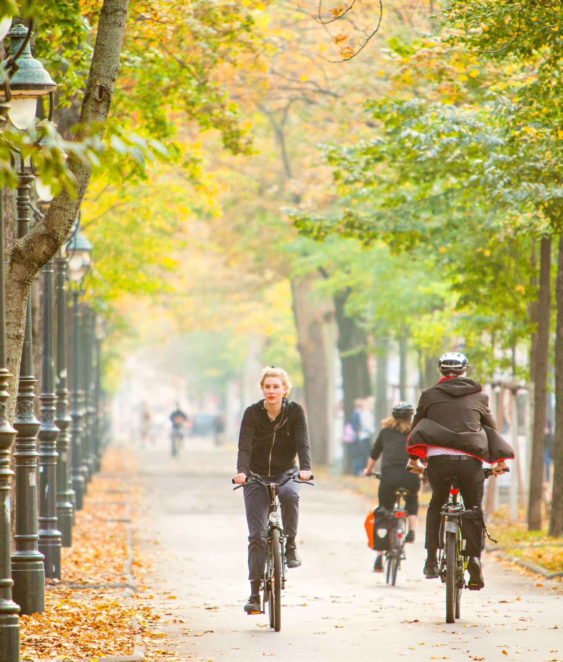 FAQ Antworten auf alle FahrradFragen Fahrrad Wien
