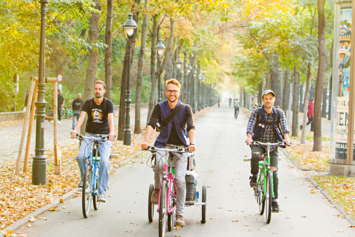 Drei Radfahrer fahren am Radweg unter herbstlich gefährbten Bäumen. Foto von Peter Provaznik