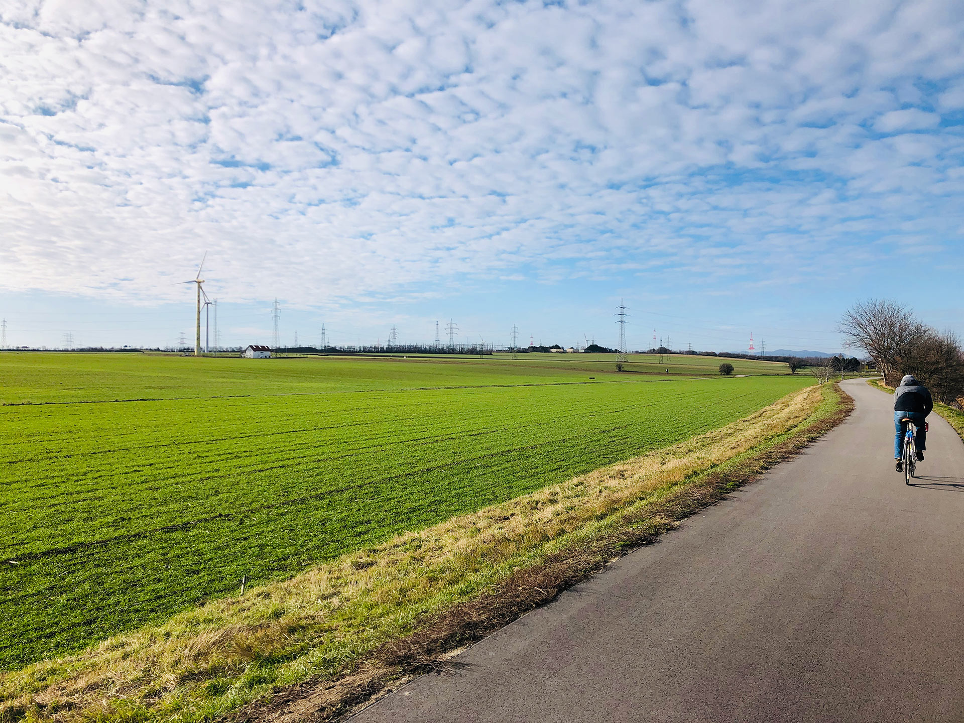 Radfahrer in der Nähe des Albener Hafens