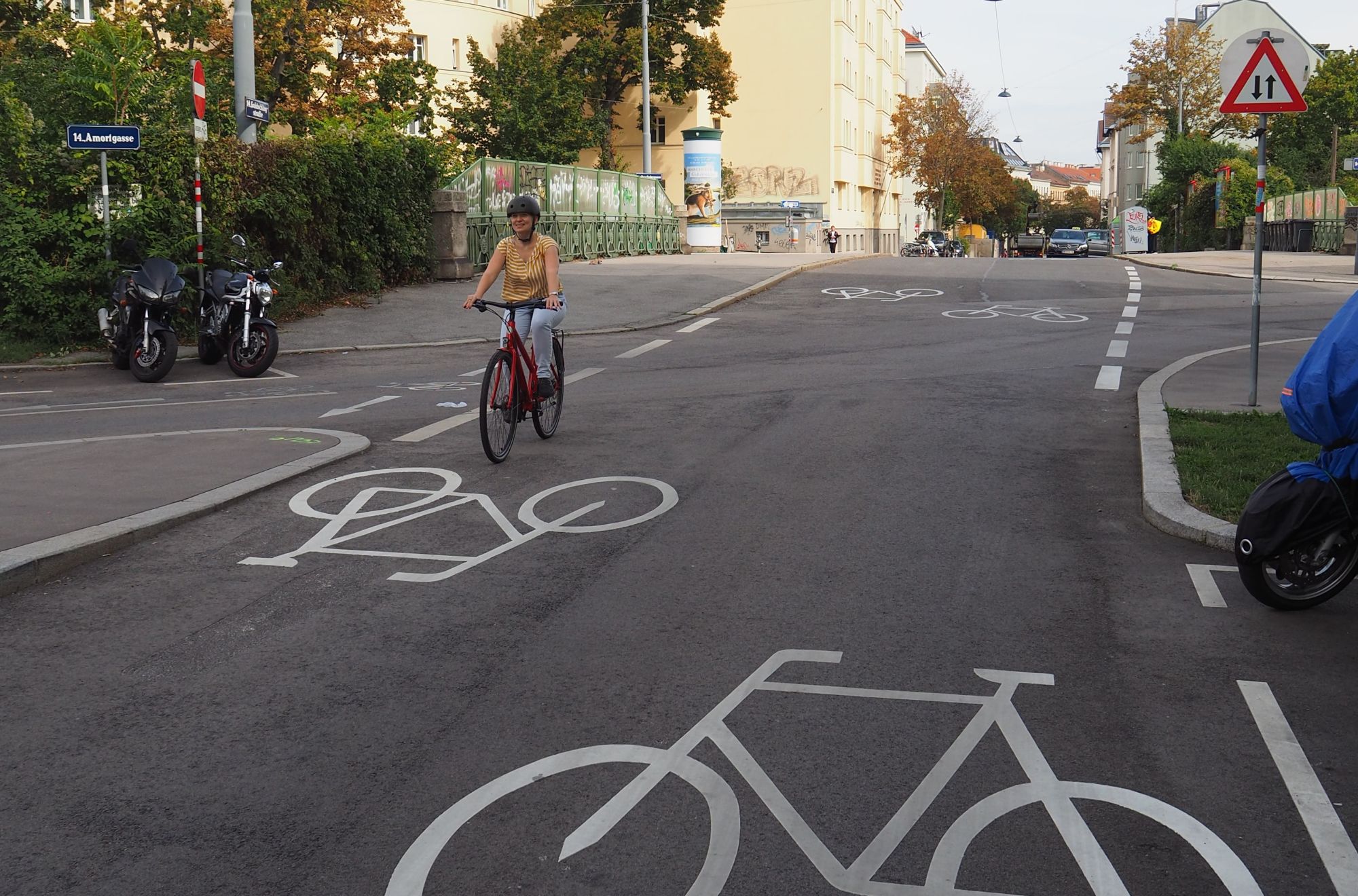 Radfahrerin auf der fahrradfreundlichen Goldschlagstraße