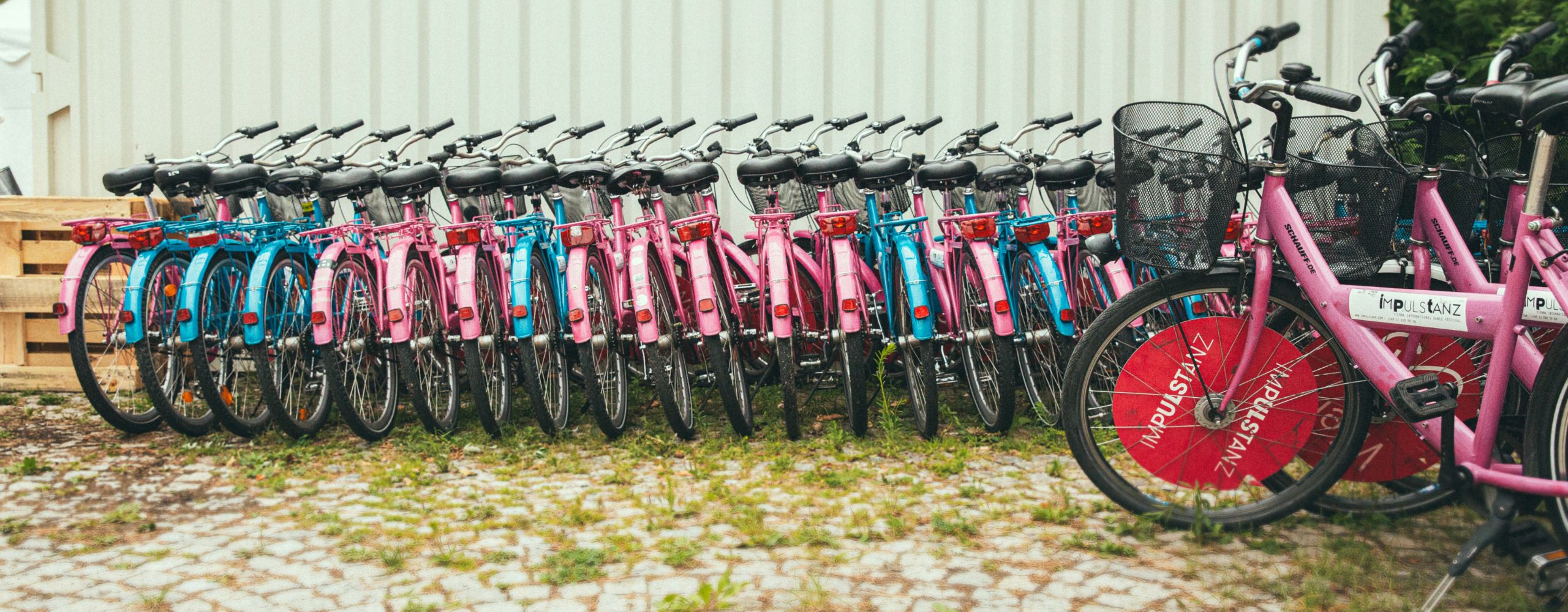 viele ImPulsTanz-Fahrräder